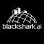 blackshark.ai